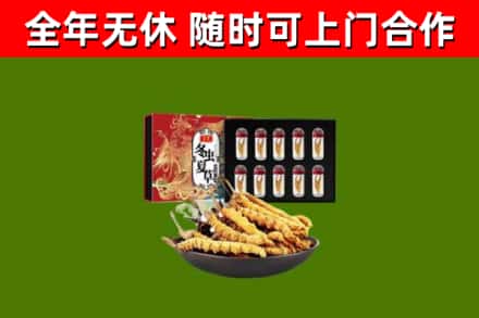 蜀山区回收冬虫夏草价格